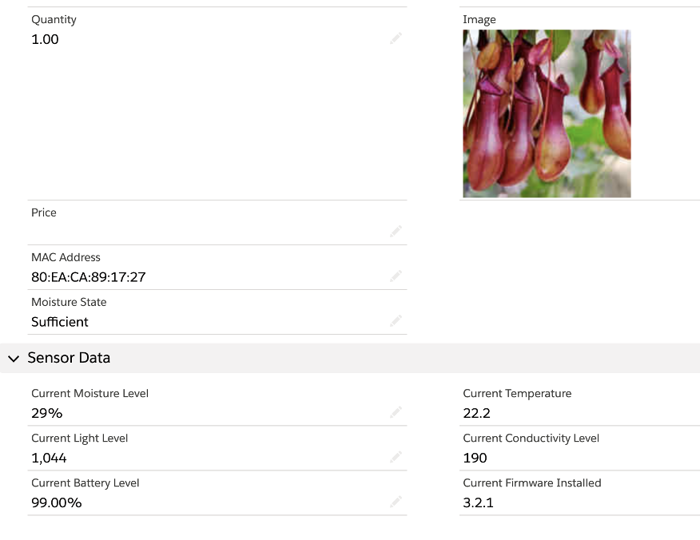 project-plant-ch2-4-web.png