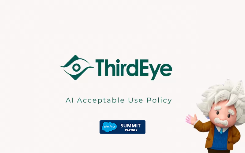 ThirdEye AI Acceptable Use Policy