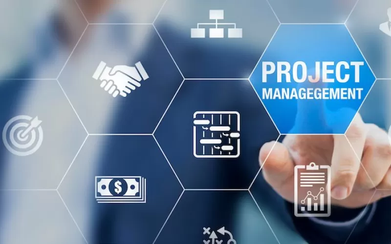 Delivery Tasks and Project Management