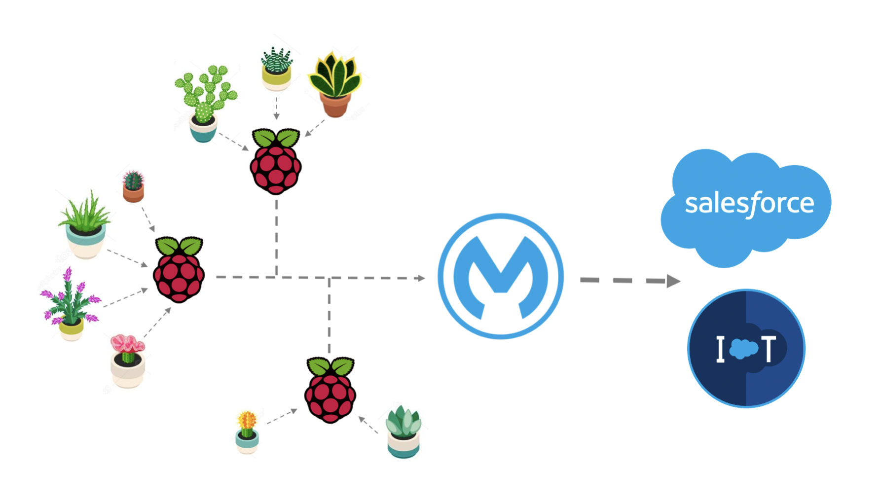 project-plant-ch2-1-web.png